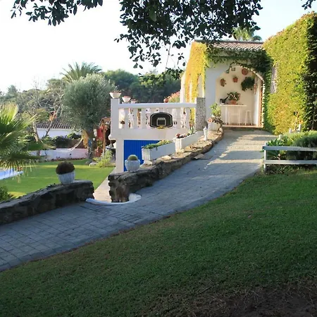 Bambu Vejer de la Frontera