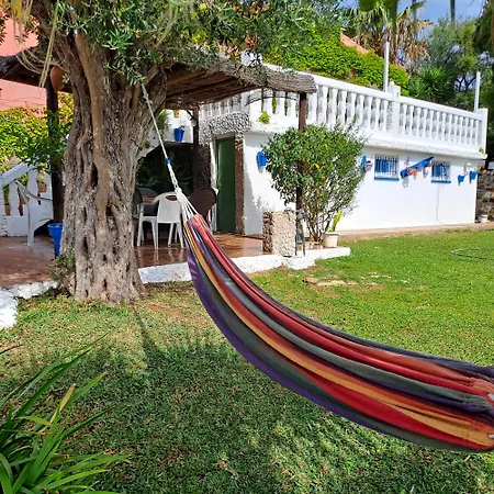 Bambu Vejer de la Frontera